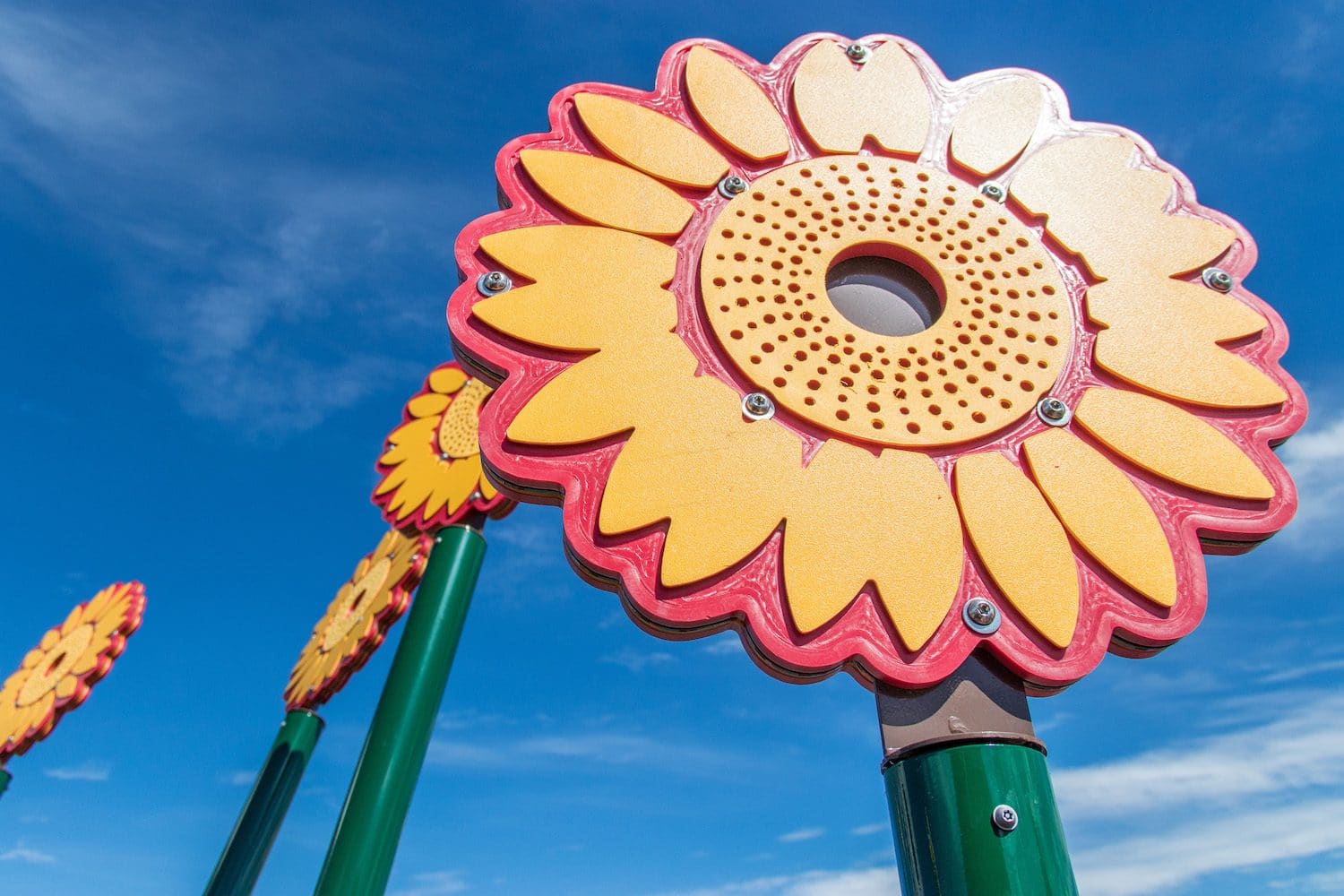 Sunflower details